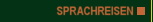 Sprachreisen